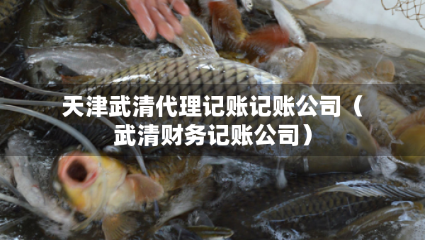 天津武清代理記賬記賬公司（武清財(cái)務(wù)記賬公司）