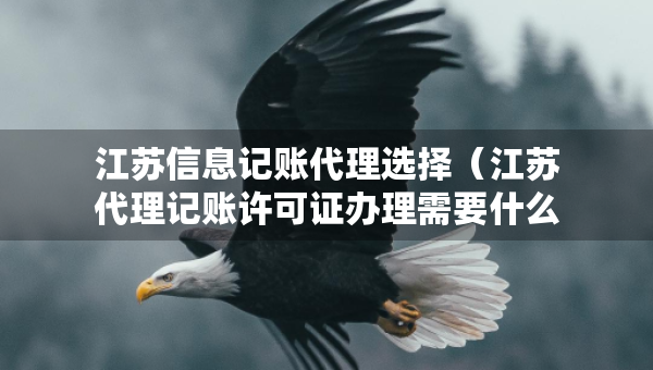 江蘇信息記賬代理選擇（江蘇代理記賬許可證辦理需要什么條件）