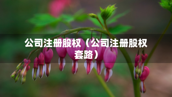 公司注冊(cè)股權(quán)（公司注冊(cè)股權(quán)套路）