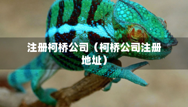 注冊(cè)柯橋公司（柯橋公司注冊(cè)地址）