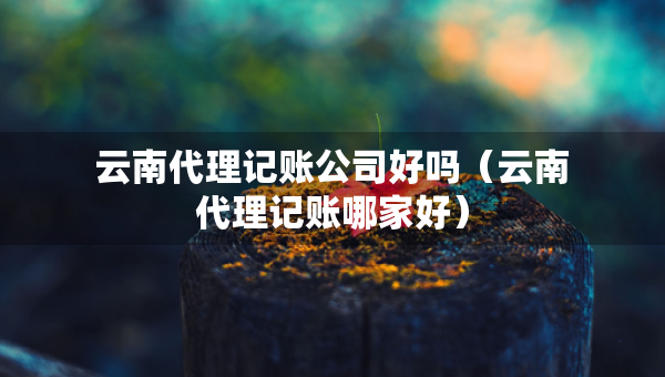 云南代理記賬公司好嗎（云南代理記賬哪家好）