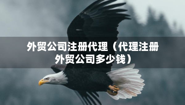 外貿(mào)公司注冊(cè)代理（代理注冊(cè)外貿(mào)公司多少錢(qián)）