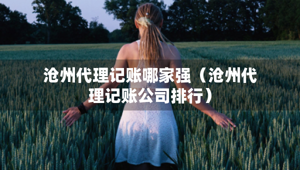 滄州代理記賬哪家強(qiáng)（滄州代理記賬公司排行）