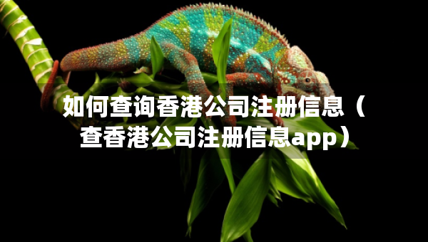 如何查詢香港公司注冊信息（查香港公司注冊信息app）
