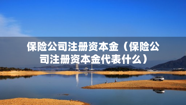保險公司注冊資本金（保險公司注冊資本金代表什么）