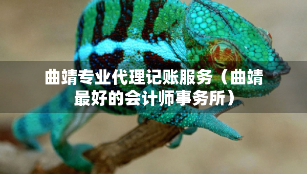 曲靖專業(yè)代理記賬服務(wù)（曲靖最好的會(huì)計(jì)師事務(wù)所）