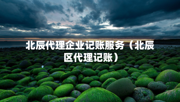 北辰代理企業(yè)記賬服務(wù)（北辰區(qū)代理記賬）