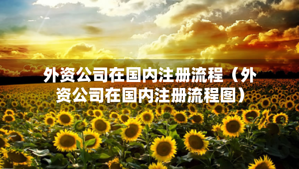 外資公司在國內(nèi)注冊流程（外資公司在國內(nèi)注冊流程圖）