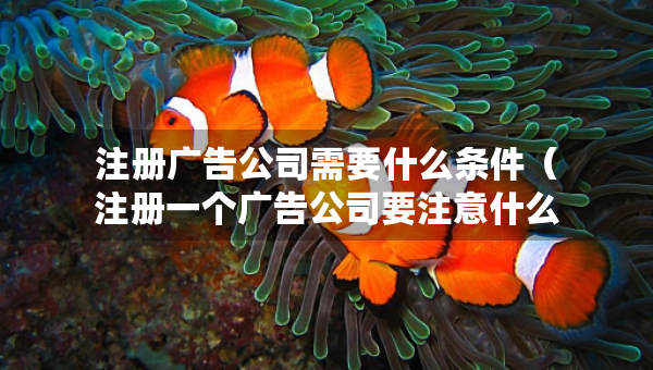 注冊(cè)廣告公司需要什么條件（注冊(cè)一個(gè)廣告公司要注意什么問(wèn)題?）