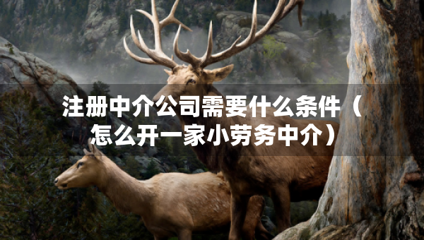 注冊(cè)中介公司需要什么條件（怎么開一家小勞務(wù)中介）