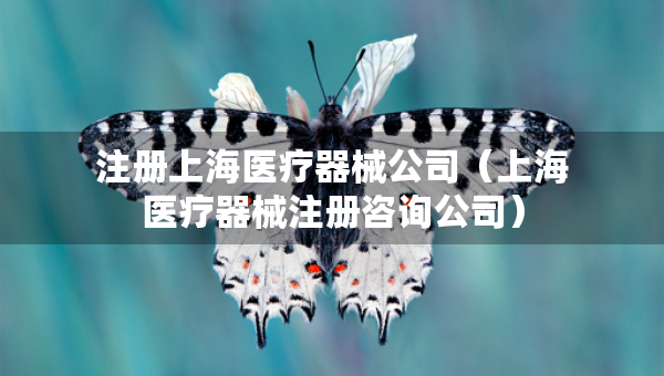 注冊上海醫(yī)療器械公司（上海醫(yī)療器械注冊咨詢公司）