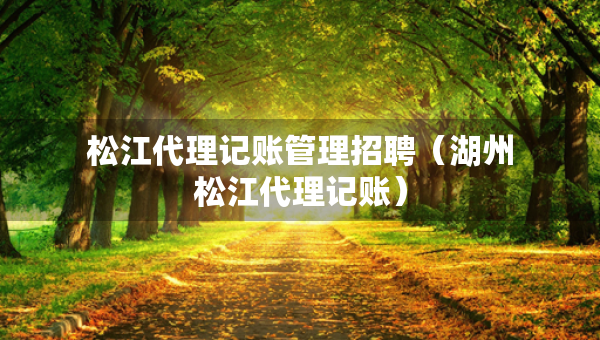 松江代理記賬管理招聘（湖州松江代理記賬）