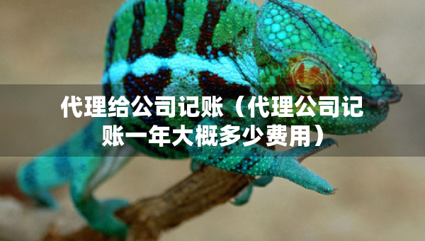 代理給公司記賬（代理公司記賬一年大概多少費用）