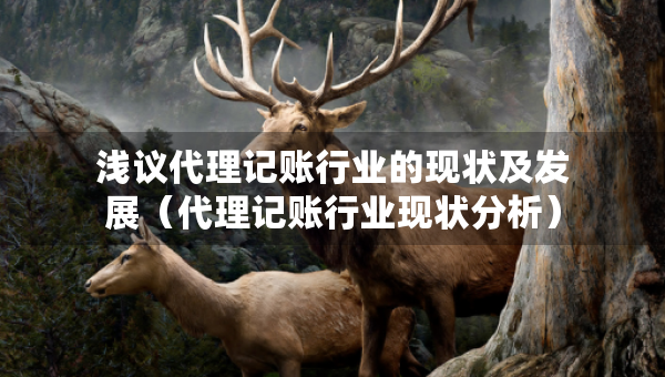 淺議代理記賬行業(yè)的現(xiàn)狀及發(fā)展（代理記賬行業(yè)現(xiàn)狀分析）