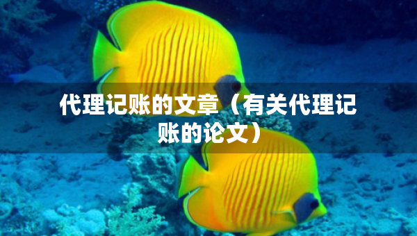 代理記賬的文章（有關代理記賬的論文）
