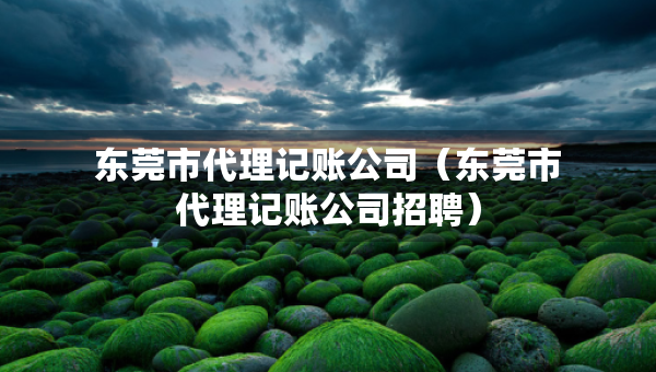 東莞市代理記賬公司（東莞市代理記賬公司招聘）