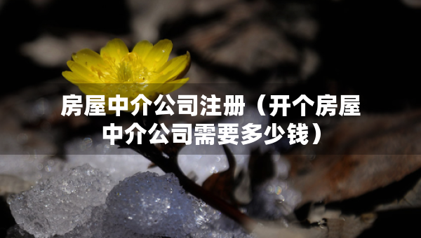 房屋中介公司注冊（開個房屋中介公司需要多少錢）