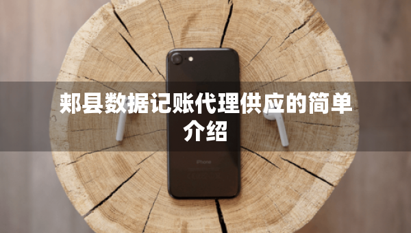 郟縣數(shù)據(jù)記賬代理供應(yīng)的簡單介紹