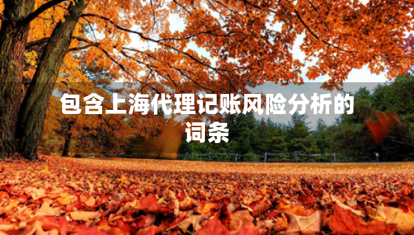 包含上海代理記賬風險分析的詞條