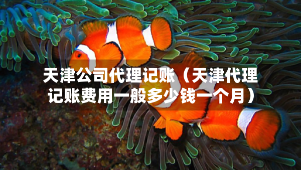 天津公司代理記賬（天津代理記賬費用一般多少錢一個月）
