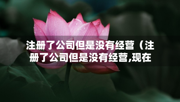 注冊了公司但是沒有經(jīng)營（注冊了公司但是沒有經(jīng)營,現(xiàn)在怎么注銷）