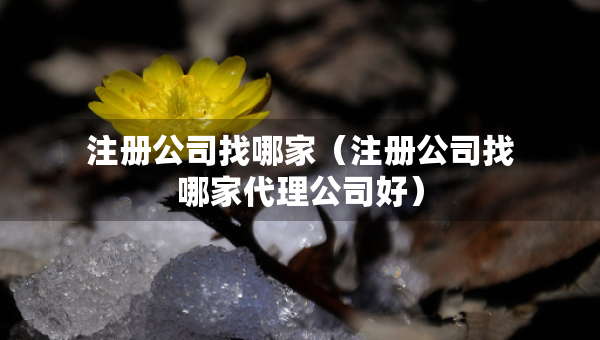 注冊公司找哪家（注冊公司找哪家代理公司好）