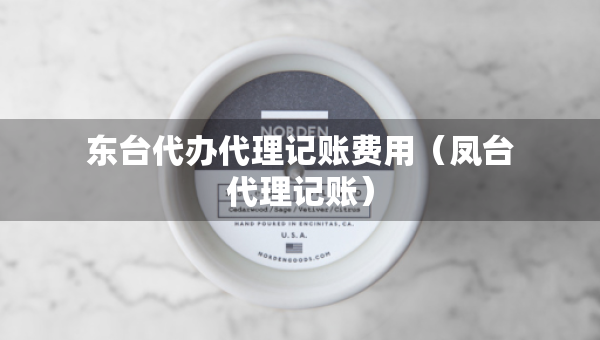 東臺代辦代理記賬費用（鳳臺代理記賬）