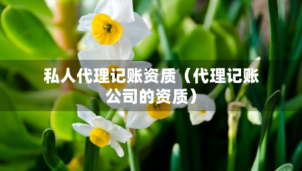 私人代理記賬資質(zhì)（代理記賬公司的資質(zhì)）