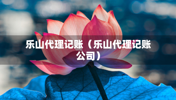 樂山代理記賬（樂山代理記賬公司）