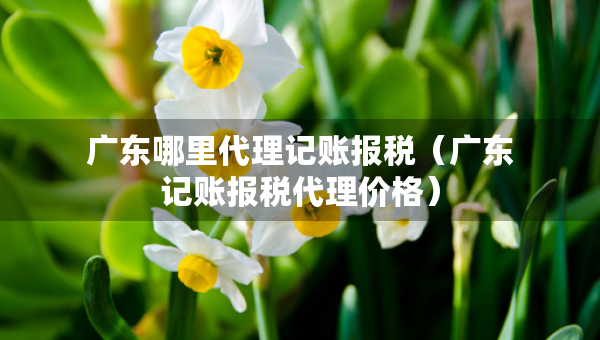 廣東哪里代理記賬報(bào)稅（廣東記賬報(bào)稅代理價(jià)格）