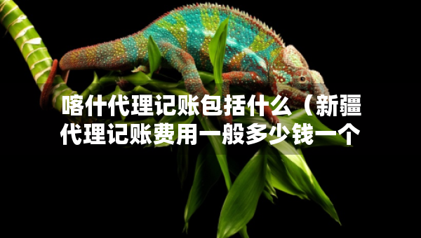 喀什代理記賬包括什么（新疆代理記賬費(fèi)用一般多少錢一個(gè)月）