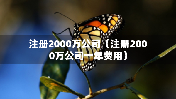 注冊2000萬公司（注冊2000萬公司一年費用）