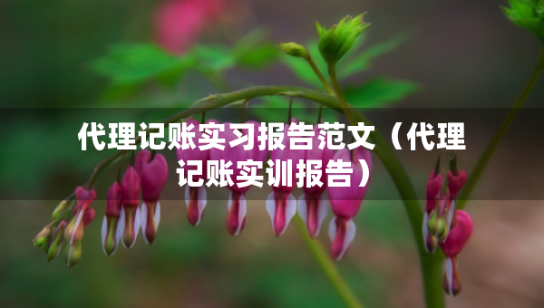 代理記賬實習(xí)報告范文（代理記賬實訓(xùn)報告）