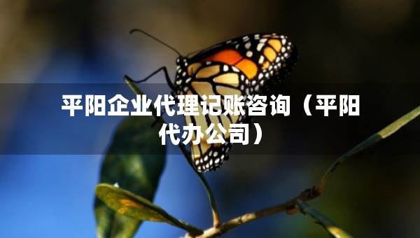 平陽(yáng)企業(yè)代理記賬咨詢（平陽(yáng)代辦公司）