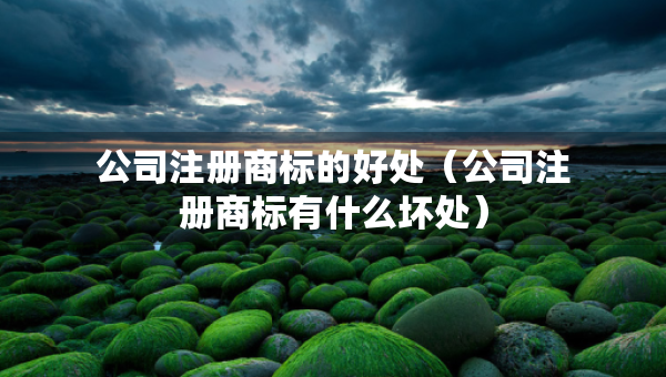 公司注冊商標的好處（公司注冊商標有什么壞處）
