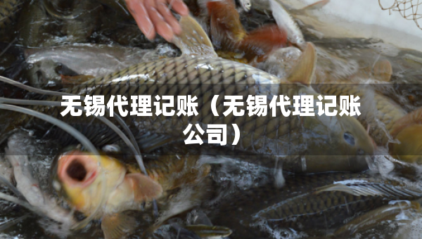 無錫代理記賬（無錫代理記賬公司）