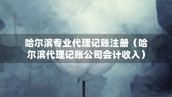哈爾濱專業(yè)代理記賬注冊（哈爾濱代理記賬公司會計收入）