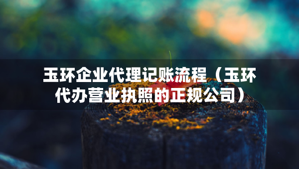 玉環(huán)企業(yè)代理記賬流程（玉環(huán)代辦營業(yè)執(zhí)照的正規(guī)公司）