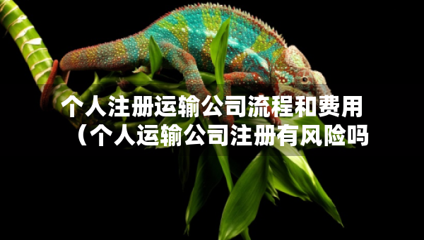 個(gè)人注冊(cè)運(yùn)輸公司流程和費(fèi)用（個(gè)人運(yùn)輸公司注冊(cè)有風(fēng)險(xiǎn)嗎）