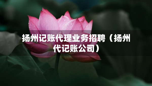 揚州記賬代理業(yè)務招聘（揚州代記賬公司）