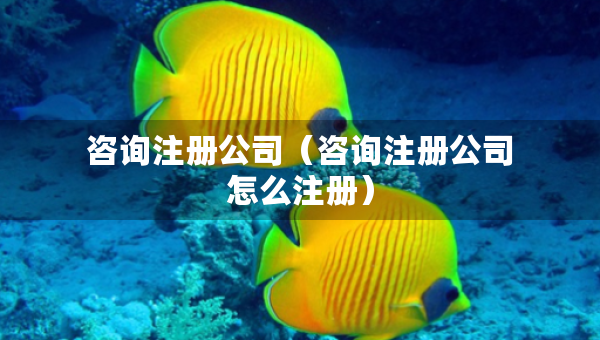 咨詢注冊公司（咨詢注冊公司怎么注冊）