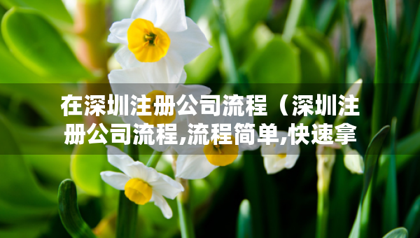 在深圳注冊公司流程（深圳注冊公司流程,流程簡單,快速拿證!）