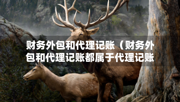 財務(wù)外包和代理記賬（財務(wù)外包和代理記賬都屬于代理記賬公司檢查內(nèi)容嗎）