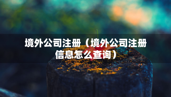 境外公司注冊(cè)（境外公司注冊(cè)信息怎么查詢）