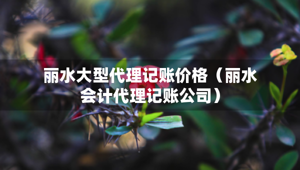 麗水大型代理記賬價格（麗水會計代理記賬公司）