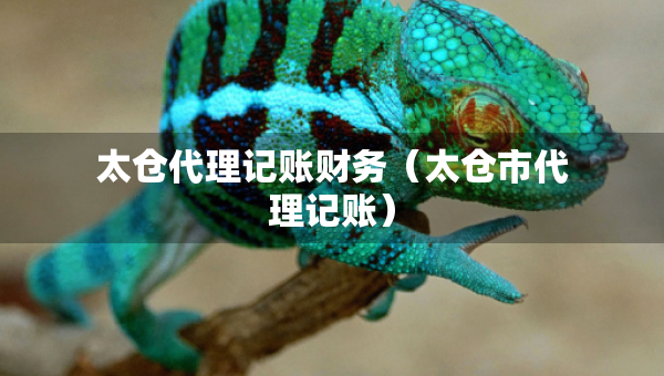 太倉代理記賬財(cái)務(wù)（太倉市代理記賬）