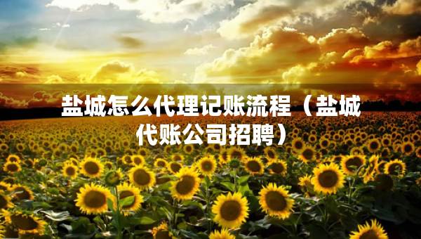 鹽城怎么代理記賬流程（鹽城代賬公司招聘）