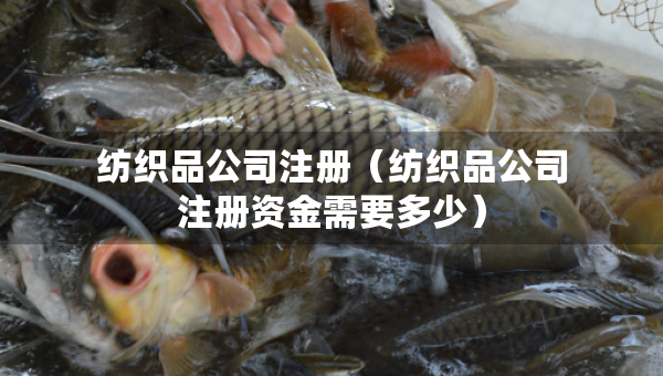 紡織品公司注冊(cè)（紡織品公司注冊(cè)資金需要多少）