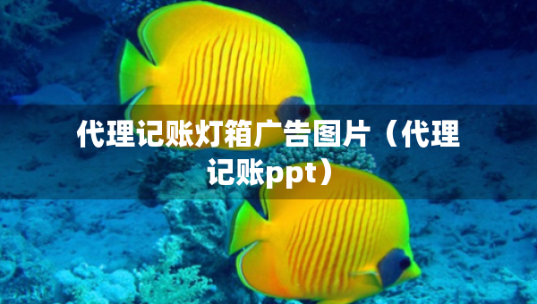 代理記賬燈箱廣告圖片（代理記賬ppt）