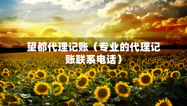 望都代理記賬（專業(yè)的代理記賬聯(lián)系電話）